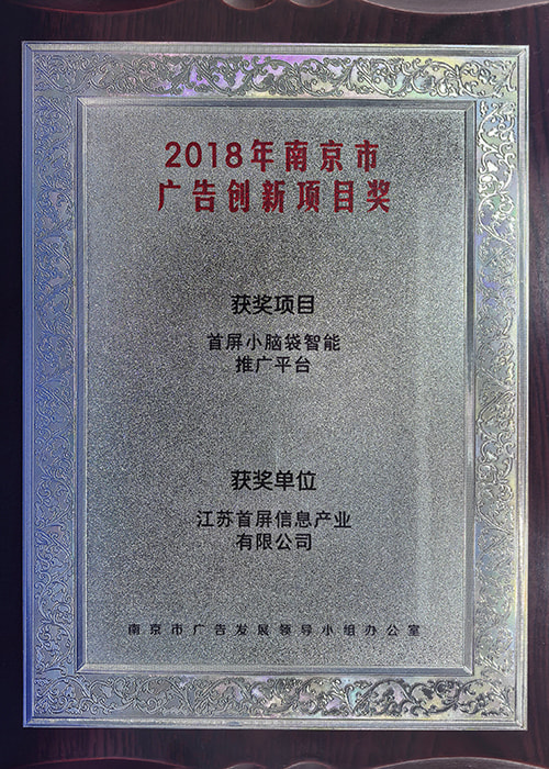 广告创新项目奖